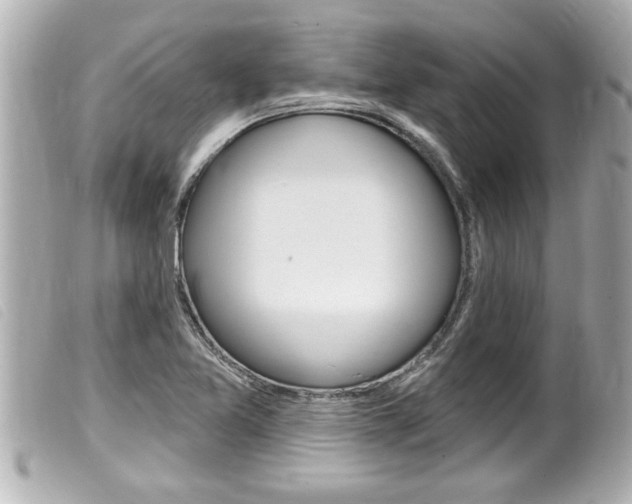 X0000100211365200805300716