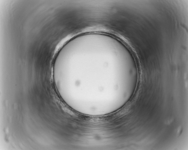 X0000100211366200805300716