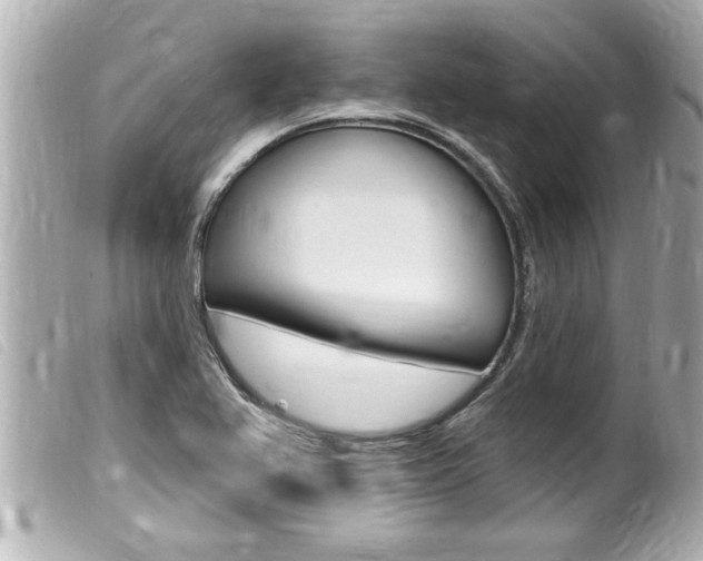 X0000100211367200805300716
