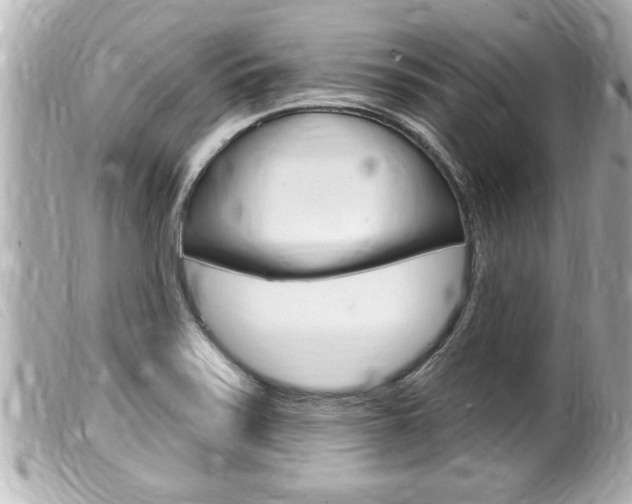 X0000100211371200805300716