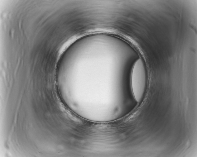 X0000100211373200805300716