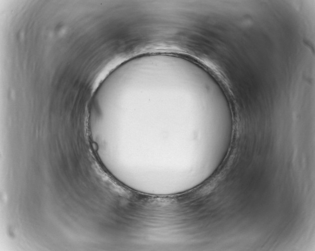 X0000100211374200805300716