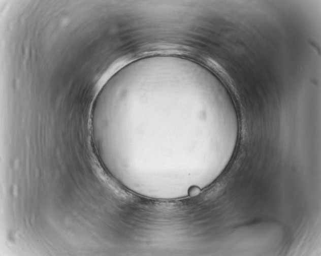 X0000100211378200805300716