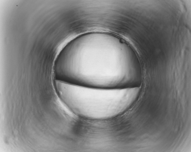 X0000100211379200805300716