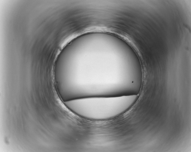 X0000100211382200805300716