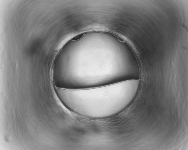 X0000100211383200805300716
