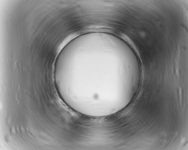 X0000100211386200805300716