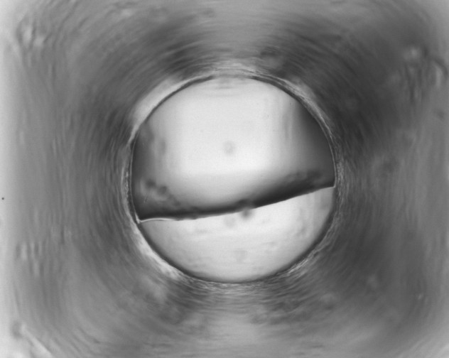 X0000100211387200805300716