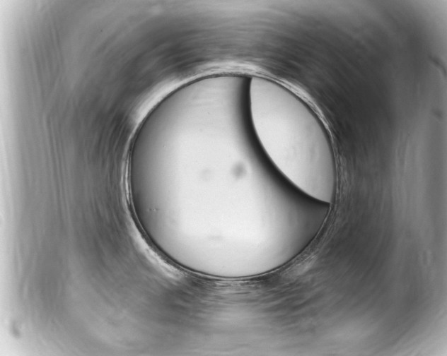 X0000100211391200805300716