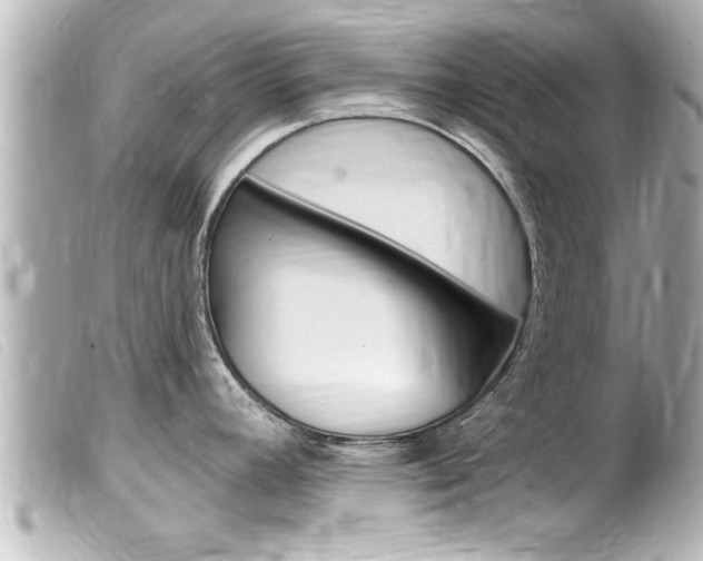 X0000100211392200805300716