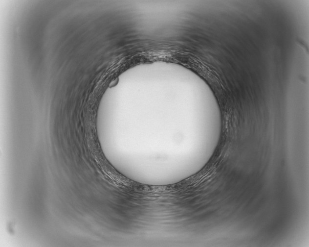 X0000100211393200805300715