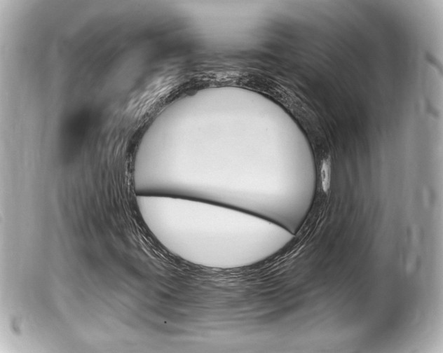 X0000100211395200805300715
