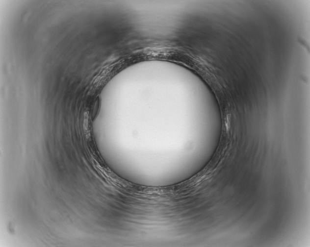 X0000100211396200805300715