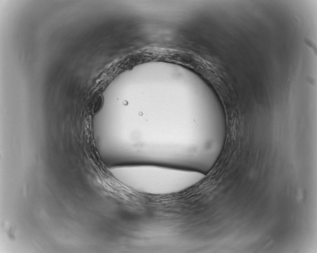 X0000100211397200805300715