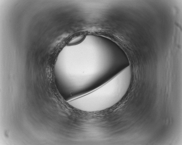 X0000100211398200805300715