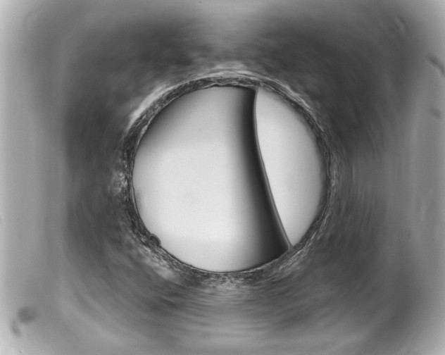 X0000100211400200805300715