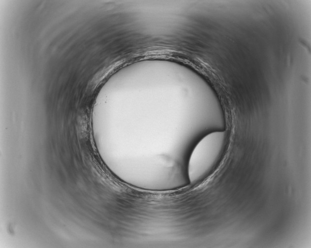 X0000100211401200805300716