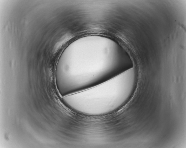 X0000100211402200805300716