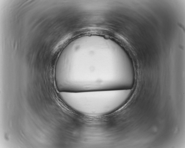 X0000100211403200805300716