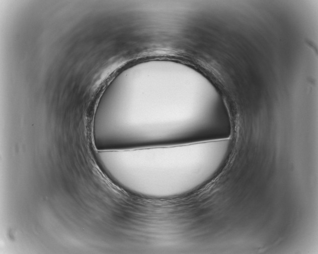 X0000100211404200805300716