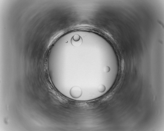 X0000100211405200805300716