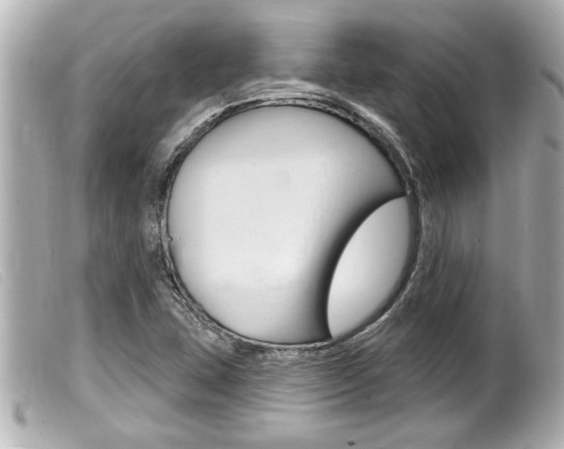 X0000100211407200805300716