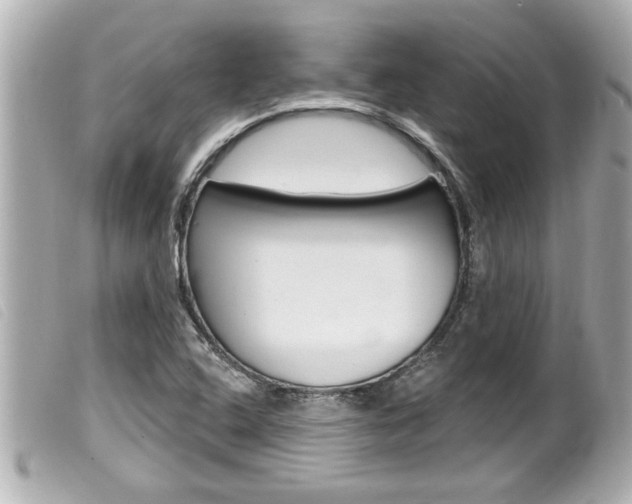 X0000100211408200805300716
