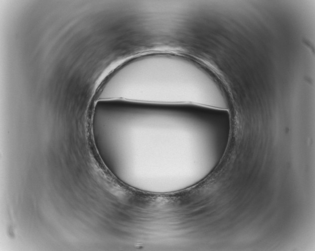 X0000100211412200805300716