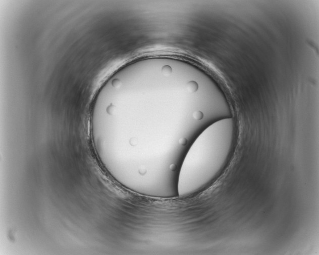 X0000100211413200805300716
