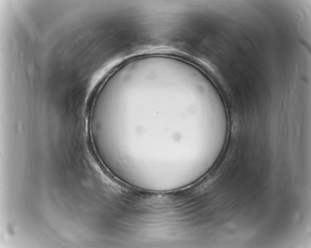 X0000100211414200805300716