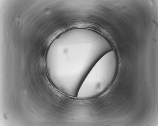X0000100211417200805300716
