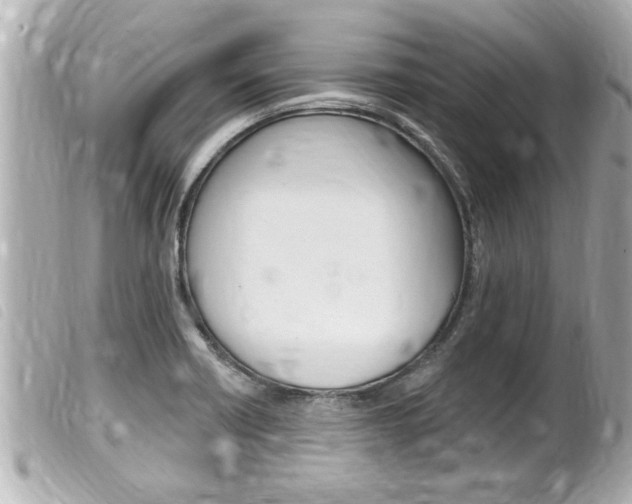 X0000100211418200805300716
