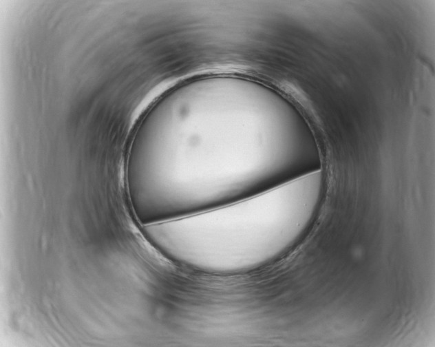 X0000100211420200805300716
