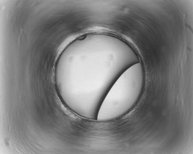 X0000100211421200805300716