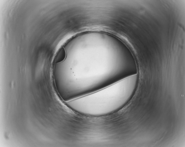 X0000100211424200805300716