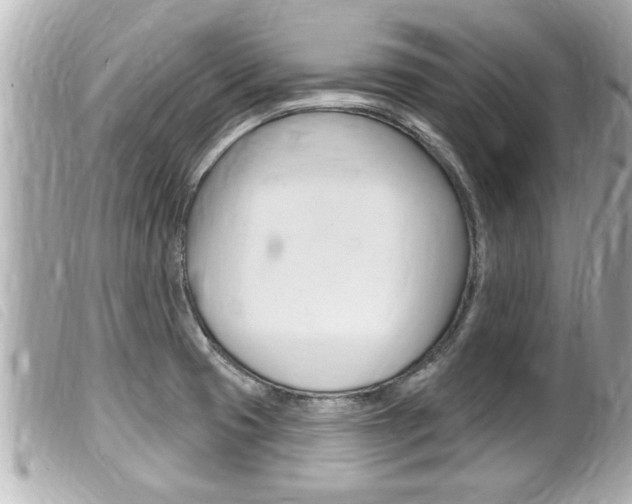 X0000100211425200805300716