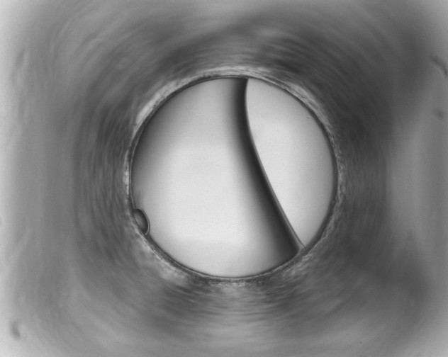 X0000100211428200805300716