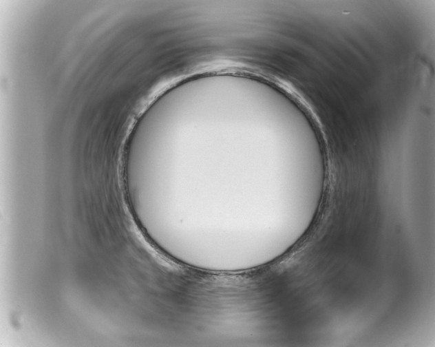 X0000100211429200805300716