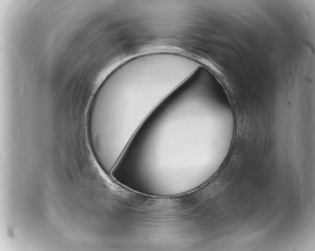 X0000100211430200805300716