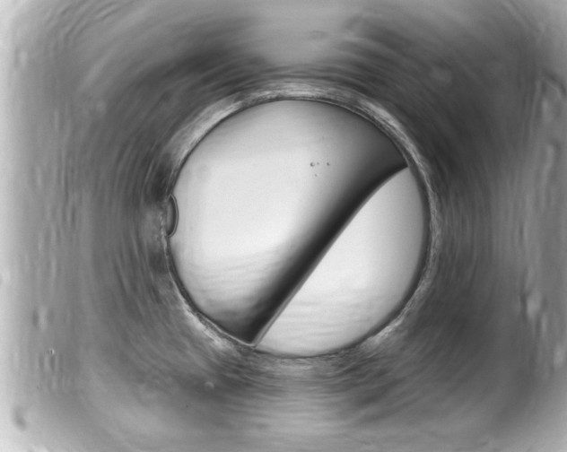 X0000100211433200805300716