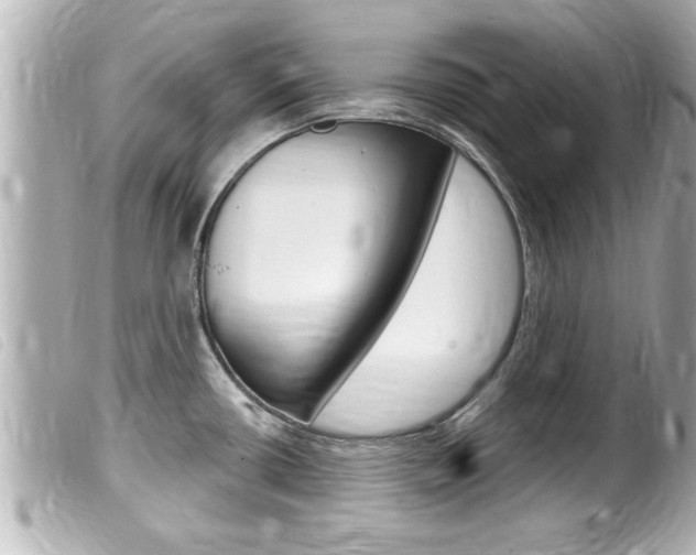 X0000100211434200805300716