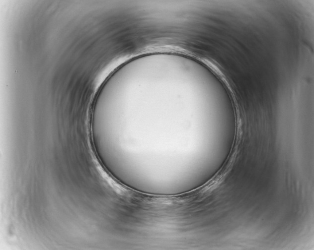 X0000100211438200805300716