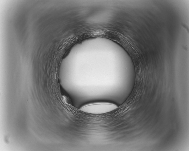 X0000100211441200805300715