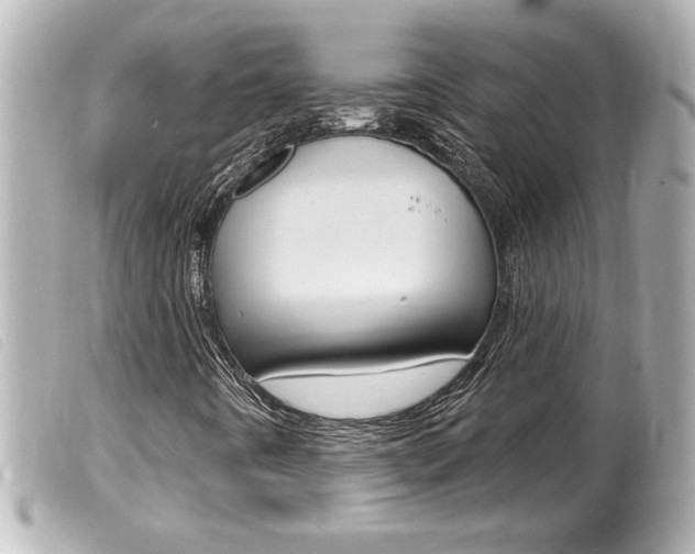X0000100211442200805300715