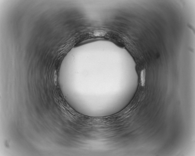 X0000100211443200805300715