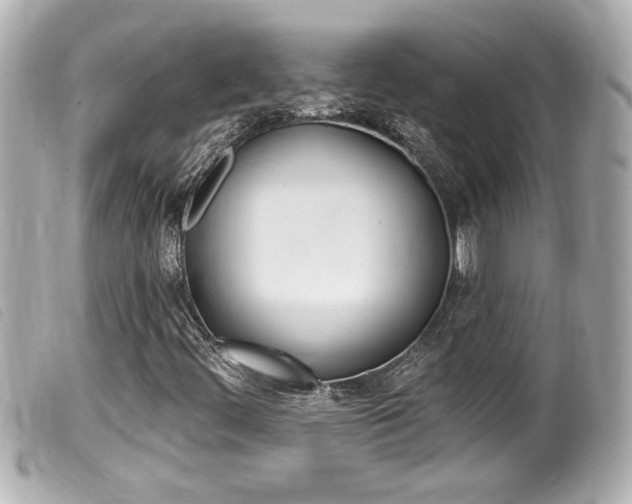 X0000100211444200805300715