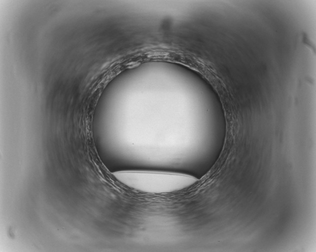 X0000100211445200805300715