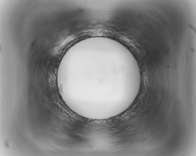 X0000100211446200805300715