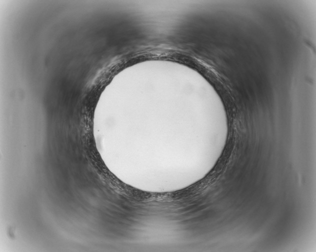 X0000100211447200805300715