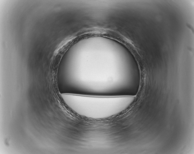 X0000100211448200805300715